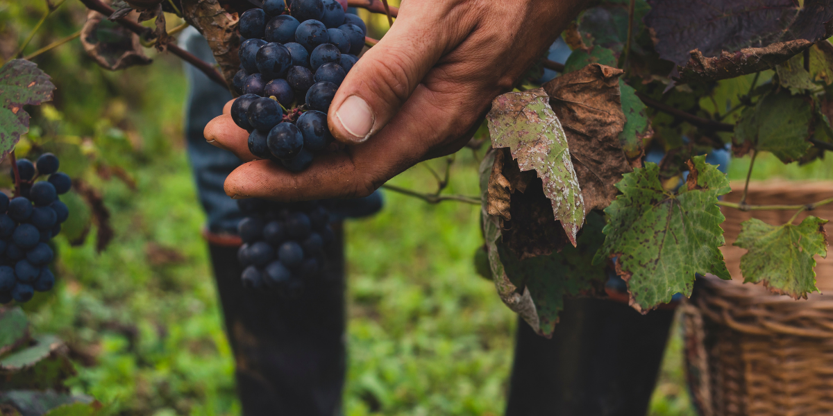 Projekt bez tytułu-17