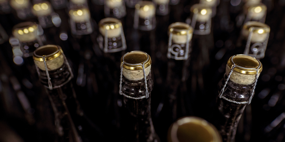 Projekt bez tytułu-2