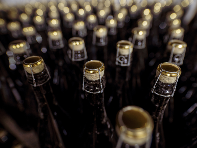 Projekt bez tytułu-2